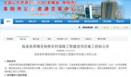 临泉最新爆料,揭秘背后惊人真相